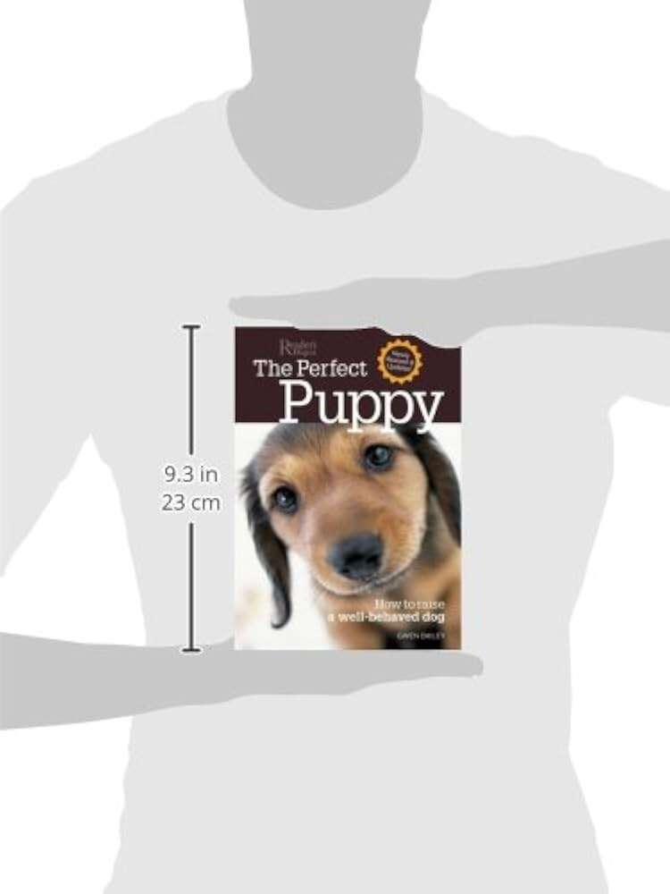 How To Raise A Well Behaved Dog