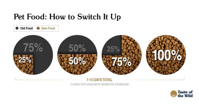 How To Switch Dog Food Safely