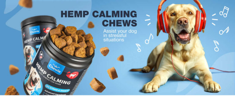 How To Deal With Dog Anxiety Naturally