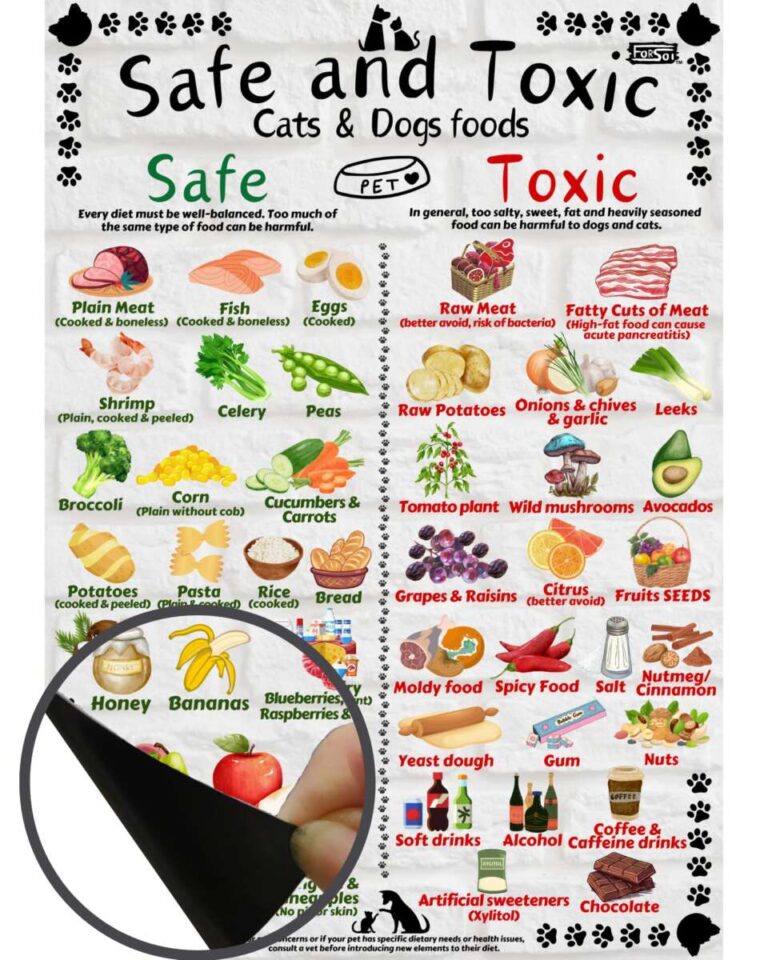 How To Prevent Dog From Eating Harmful Items