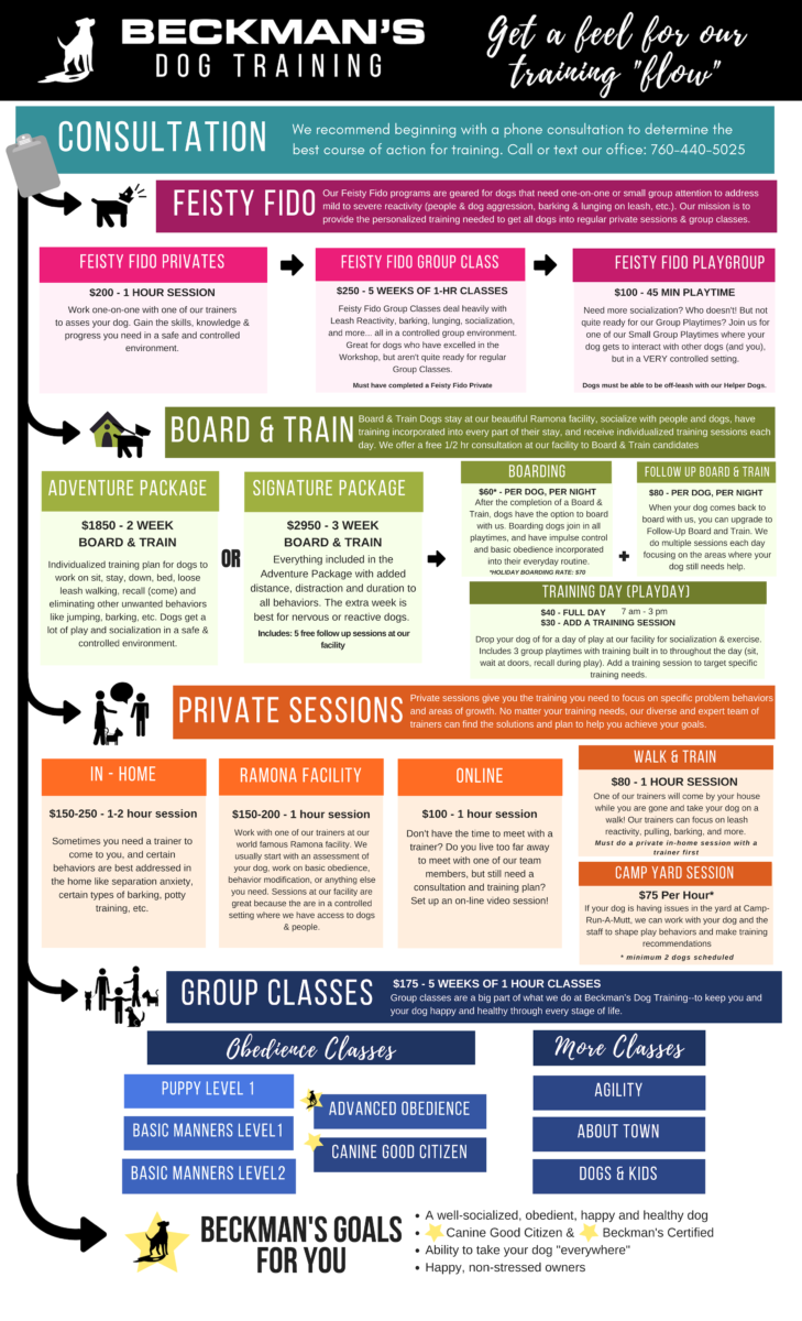 How To Create Positive Training Sessions For Dog