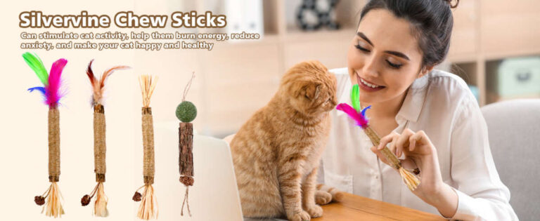 How To Reduce Dog Boredom Indoors