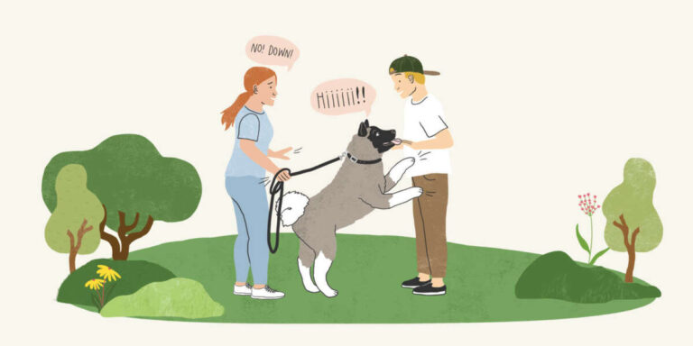 How To Stop Puppy From Jumping On People