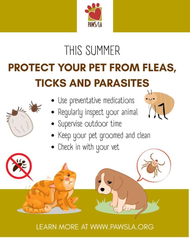 How To Protect Dog From Parasites