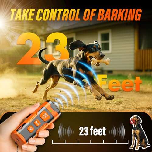 Best Bark Deterrent For Dogs