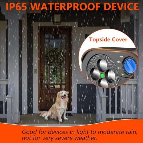 Best Anti Barking Device For Neighbors Dogs