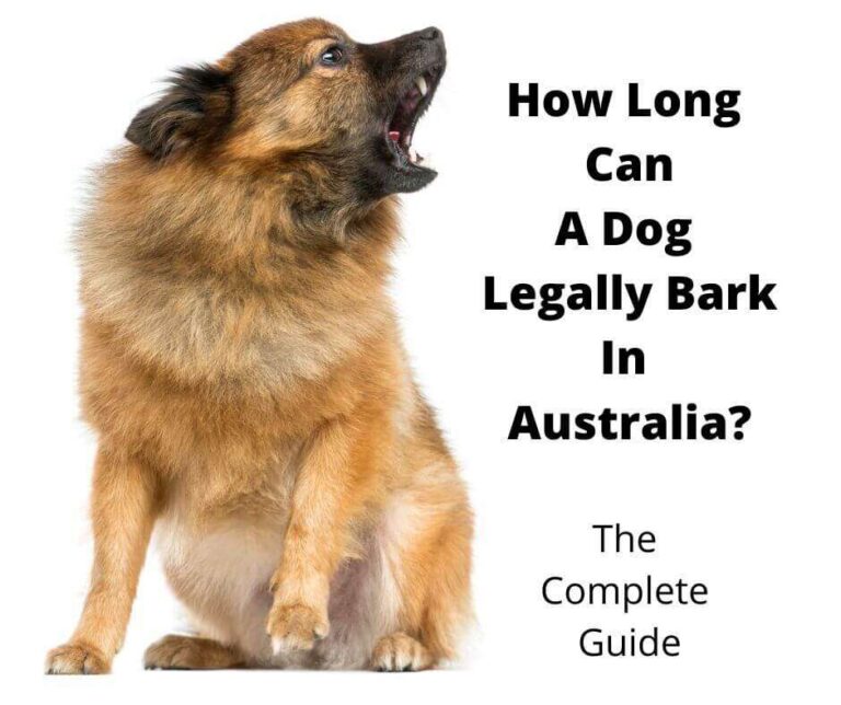 How Long Can A Dog Bark Legally