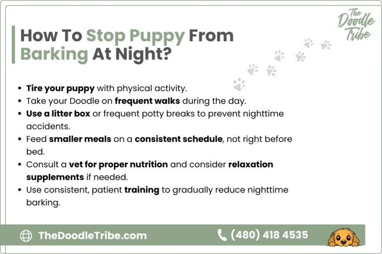How Stop Puppy From Barking