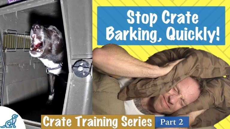 How To Stop Dogs From Barking