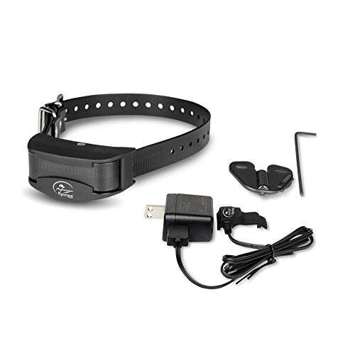 Best Bark Collar For Great Pyrenees