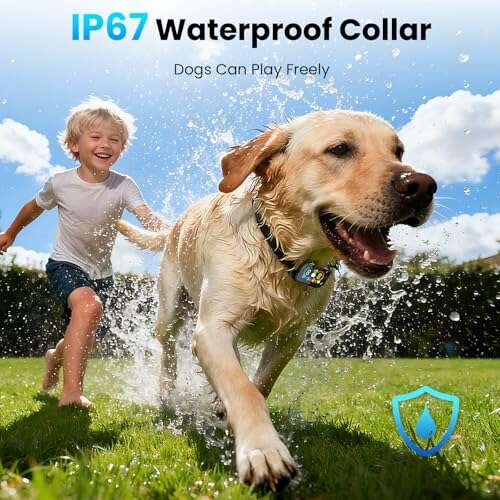 Best Bark Collar For German Shepherd