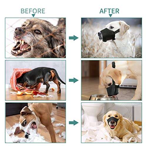 Best Dog Muzzle For Barking
