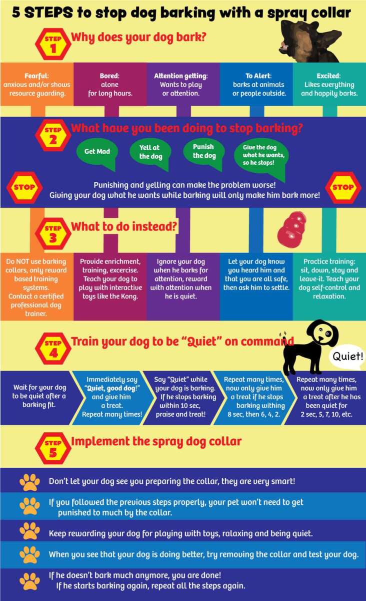 How Do Bark Collars Work