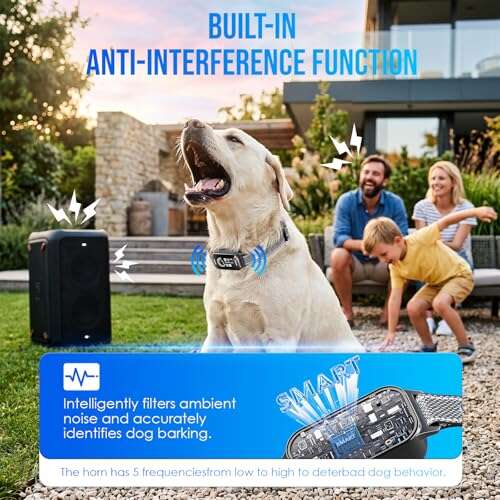 Best Anti Bark Collar For Big Dogs