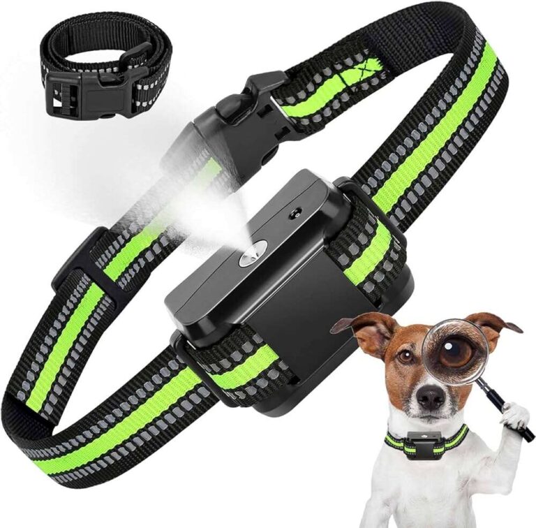 What Is A Bark Collar