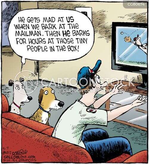 Why Do Dogs Bark At Mailman