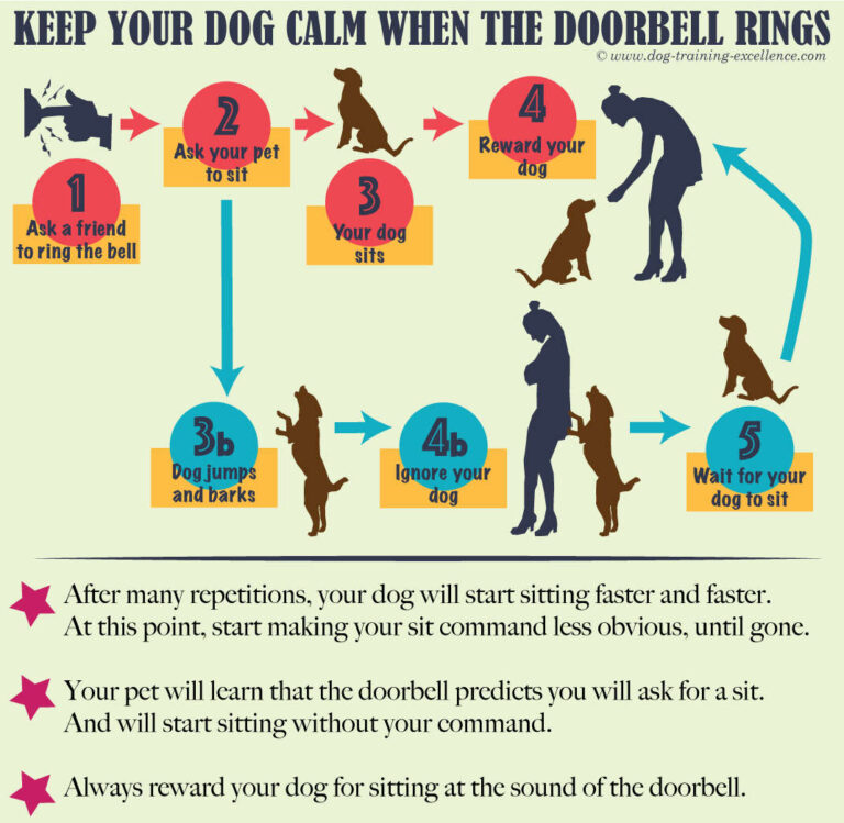 How Do I Train My Dog To Stop Barking