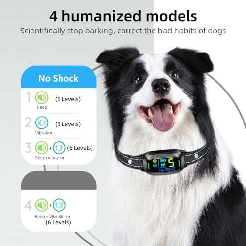 Best Bark Collar For Pugs