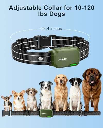 Best Bark Collars For Labrador Retrievers