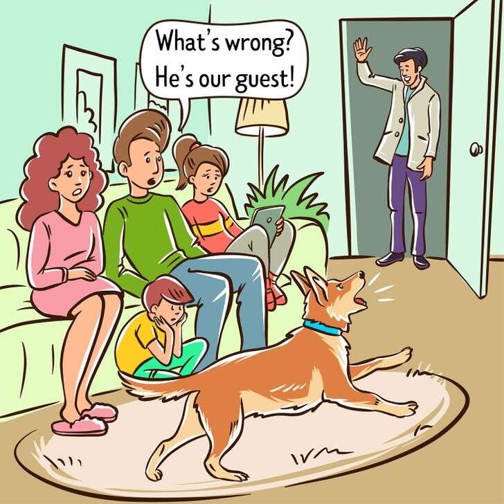 Why Does A Dog Bark