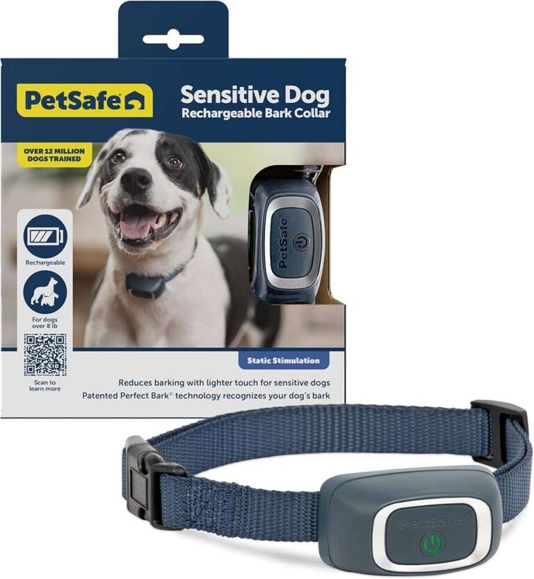 Do Bark Collars Work For Whining