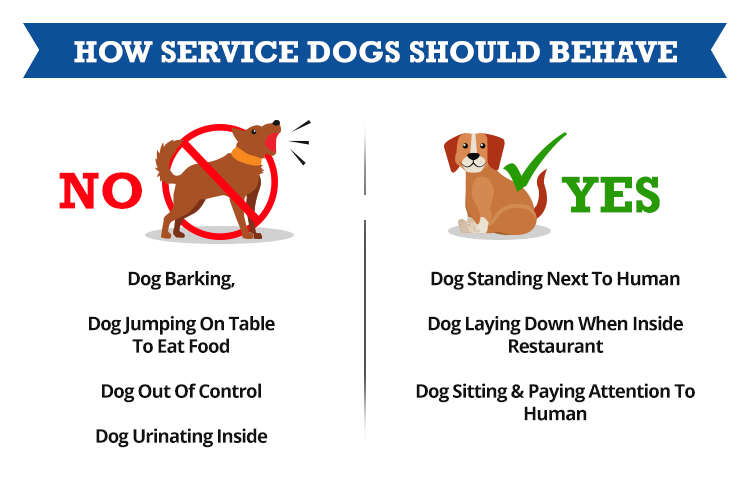 How To Get A Dog To Bark