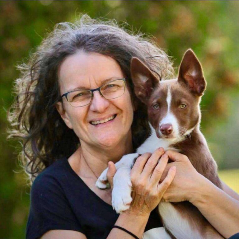 What Dogs Bark The Most