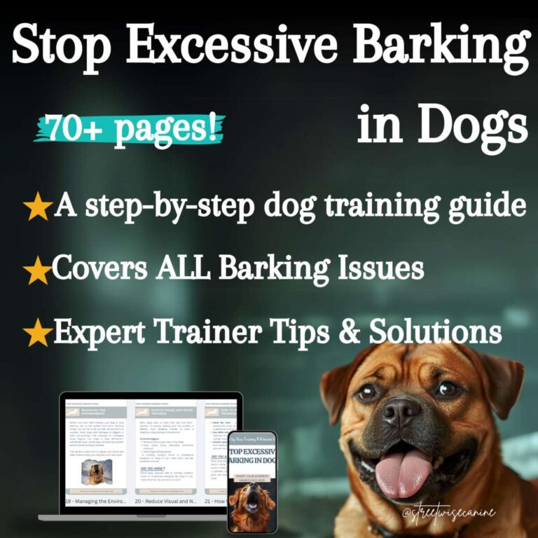What To Do About A Neighbor's Dog Barking