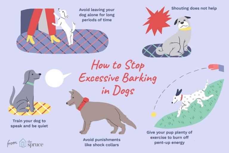 Why Do Dogs Bark When Someone Is At The Door
