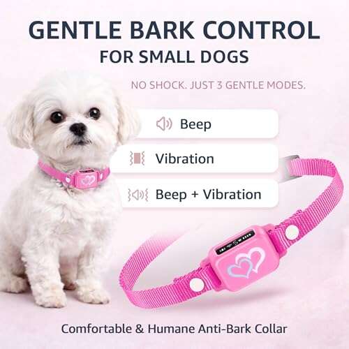 Best Bark Collar For Dogs Under 5 Pounds