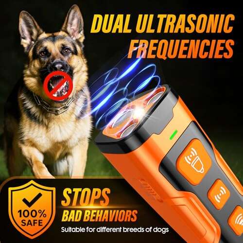 Best Dogs For Apartments No Barking