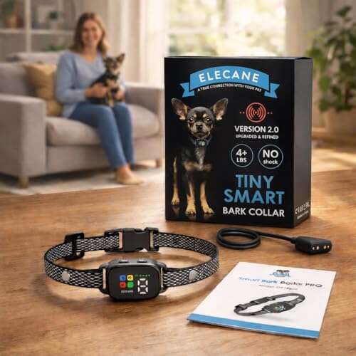 Best Bark Collars For Yorkies