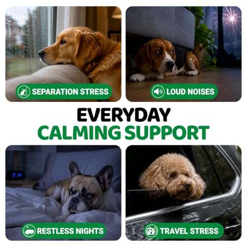 Best Calming Treats For Barking Dogs