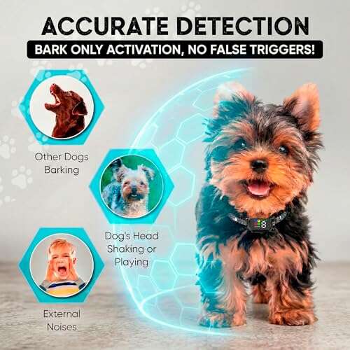 Best Anti Bark Collar For Yorkie