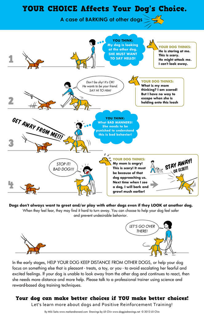 Can Dogs Understand Other Dogs Barks