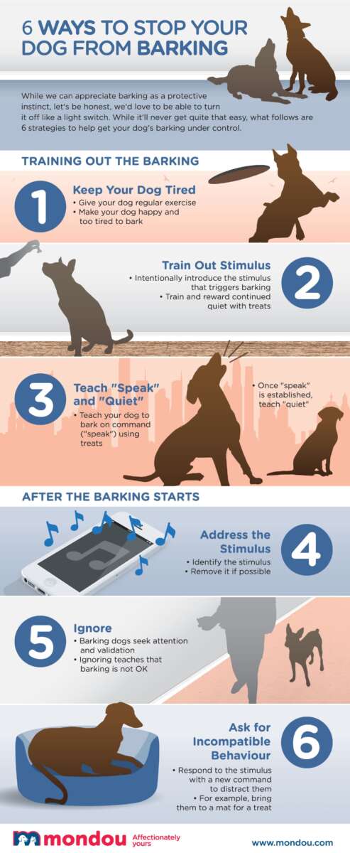 How To Stop Dog Barking Outside