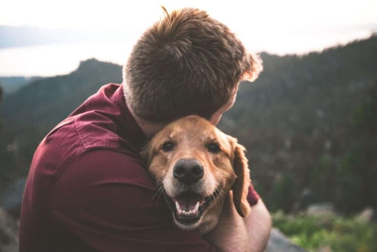 Do Emotional Support Dogs Bark