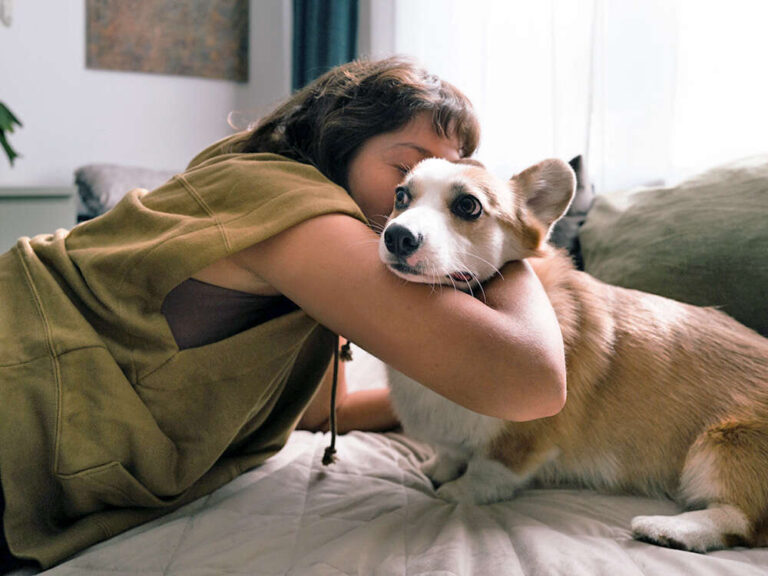 Do Dogs Like To Cuddle In Bed