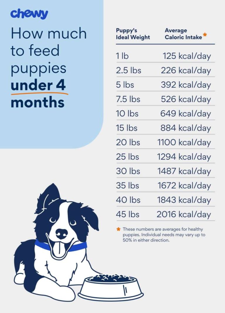 What Should Be In Dog Food