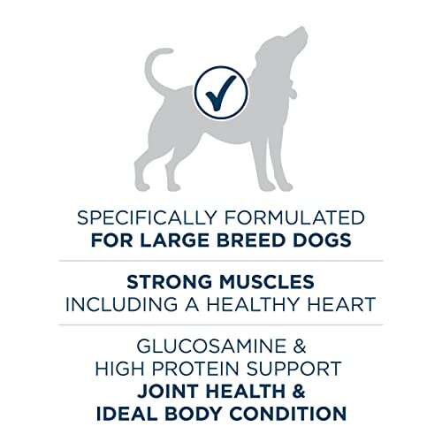 Best Large Breed Dog Food For The Money