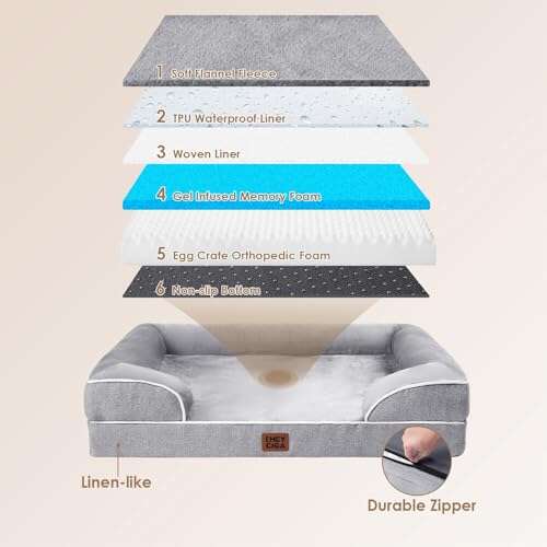Best Durable Dog Beds For Large Dogs