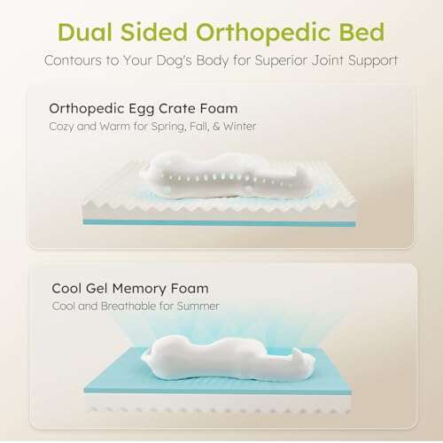 Best Cooling Bed For Golden Retriever