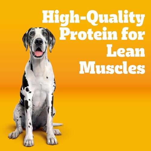 Best Dry Dog Food For Large Breeds
