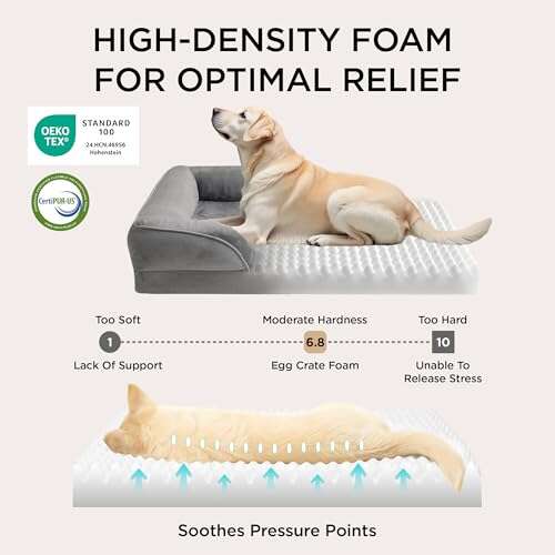 Best Dog Bed For Springer Spaniel