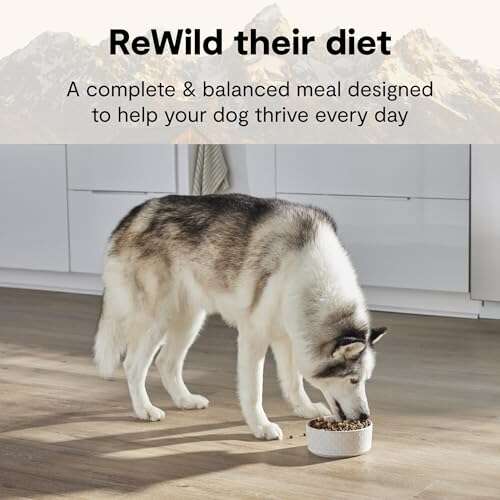 Best Raw Dog Food For Large Breeds