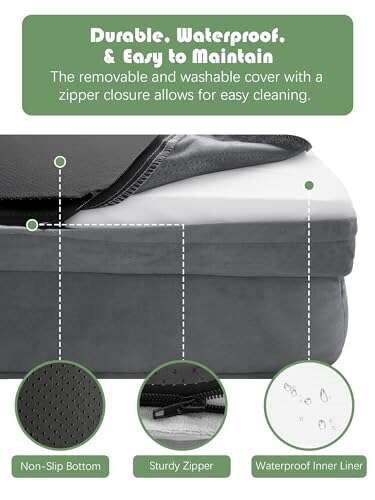 Best Dog Beds For Small Older Dogs