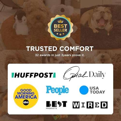 Best Bed For Goldendoodle Puppy