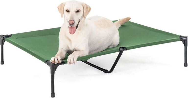 What Is The Purpose Of An Elevated Dog Bed