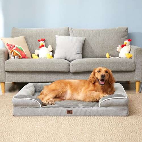 Best Dog Beds For Large Arthritic Dogs