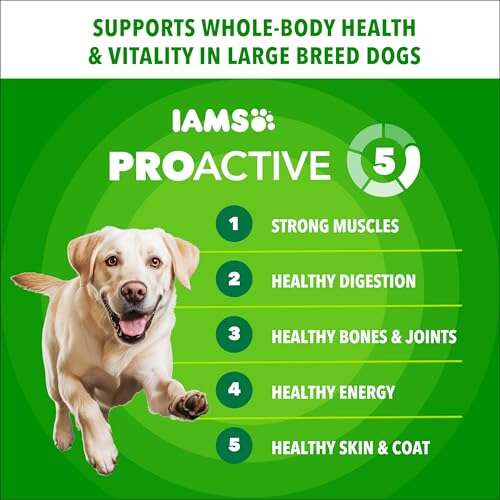 Best Dog Food For Pregnant Large Breed Dogs
